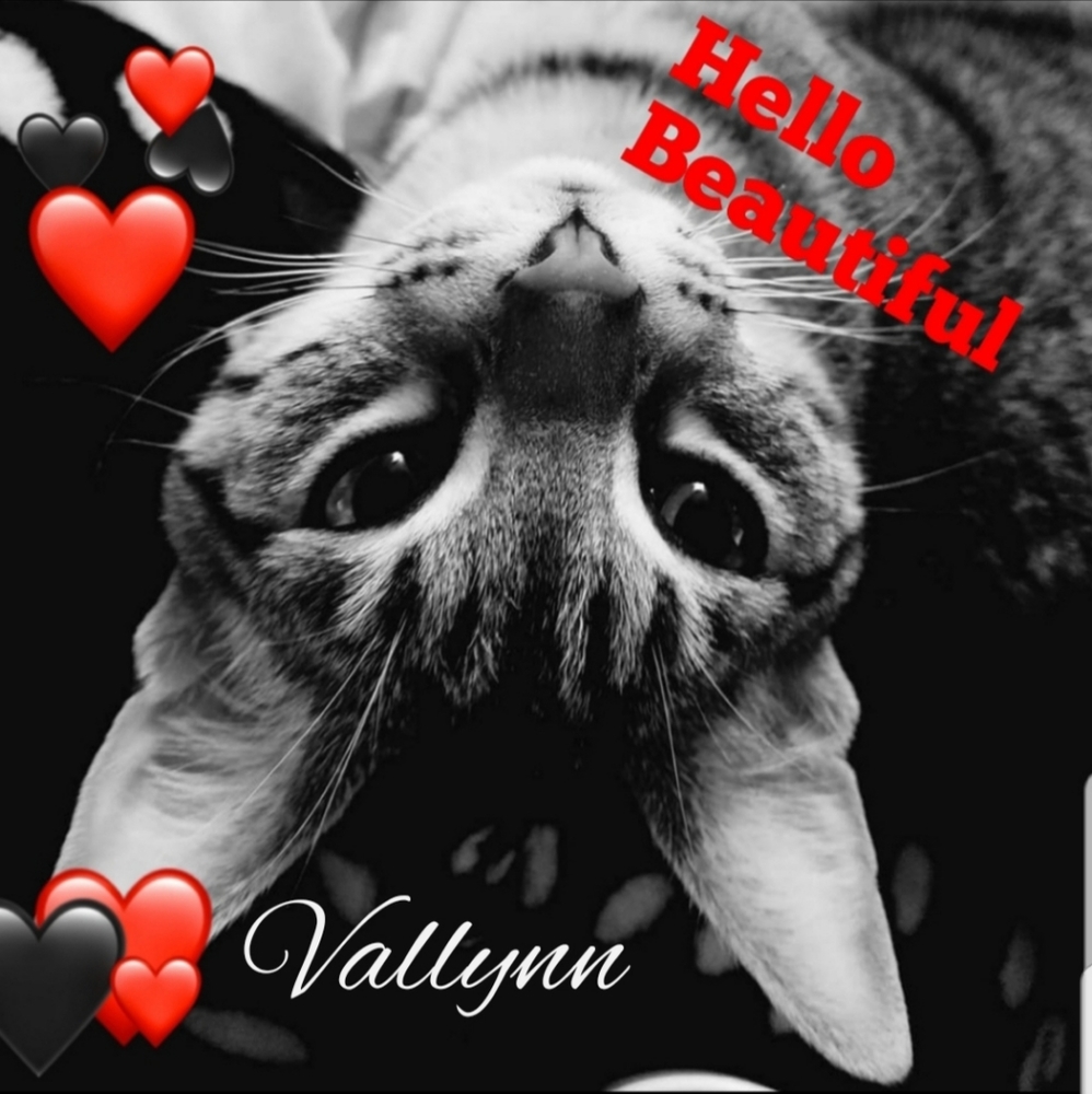 Meet your Posher, ValLynn